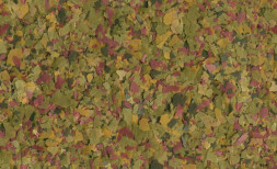 Tetra Marine Flakes корм для морских рыб в хлопьях - 250 мл