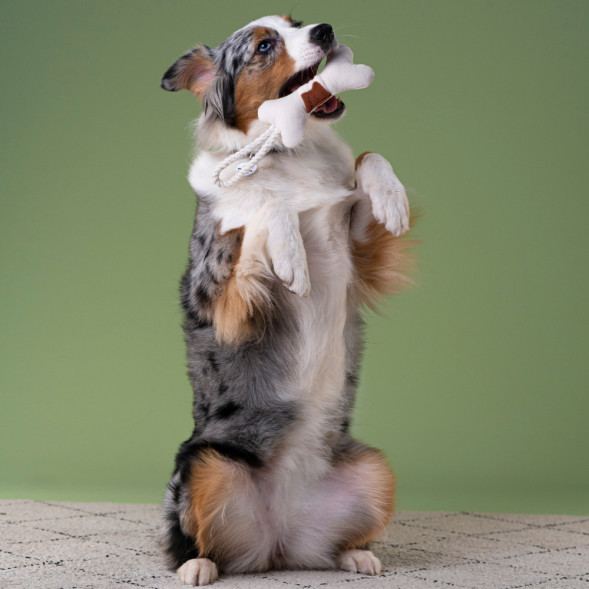 Mr.Kranch игрушка для собак мелких и средних пород Косточка с канатом 31х9х4см, бежево-пятнистая