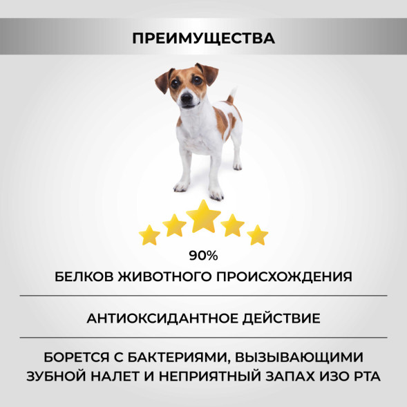 Necon Natural Wellness Adult Mini Turkey &amp;amp; Rice сухой корм для взрослых собак мелких пород с индейкой и рисом - 2 кг