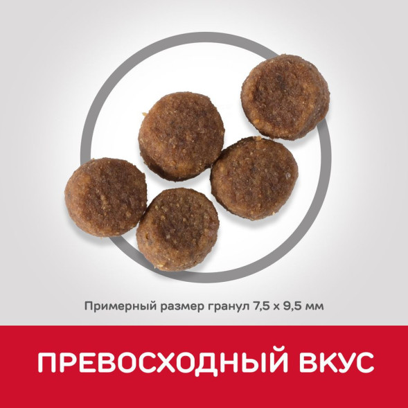 Hills Science Plan сухой корм для щенков средних пород с курицей - 800 г