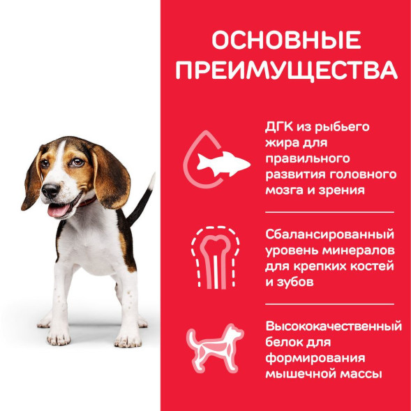 Hills Science Plan сухой корм для щенков средних пород с курицей - 800 г