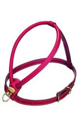 Camon шлейка для собак кожаная красная, размер M