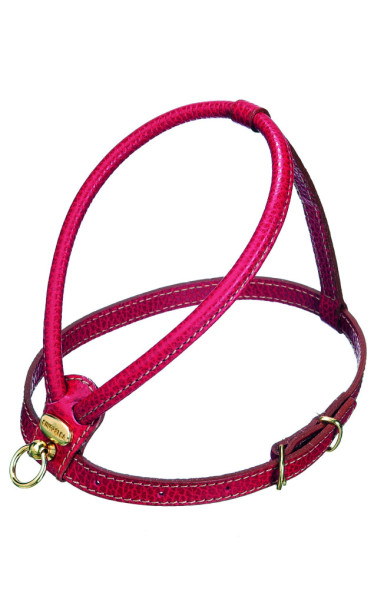 Camon шлейка для собак кожаная красная, размер M
