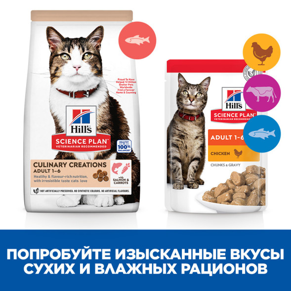 Hills Science Plan Culinary Creations сухой корм для взрослых кошек для поддержания иммунитета и жизненной энергии, с лососем и морковью - 1,5 кг