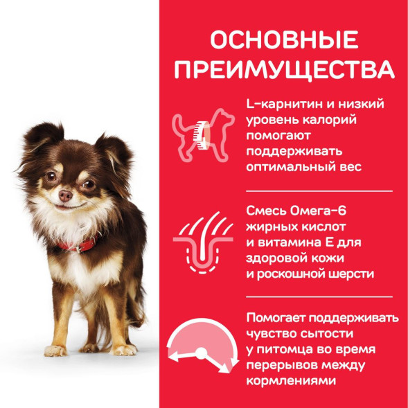 Hills Science Plan Light сухой корм для собак мелких пород для поддержания здорового веса с курицей и рисом - 1,5 кг