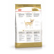 Royal Canin Chihuahua Adult сухой корм для взрослых собак породы чихуахуа - 3 кг