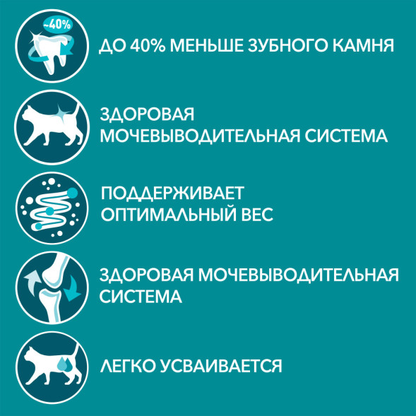 Purina ONE паучи для кошек при домашнем образе жизни с говядиной и морковью  - 75 г х 26 шт