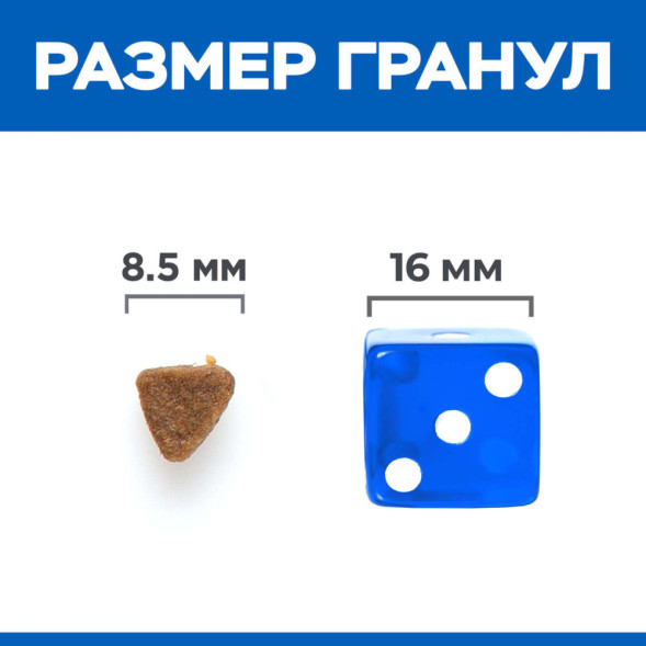 Hills Science Plan No Grain сухой беззерновой корм для котят с курицей и картофелем - 1,5 кг