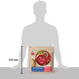 Сухой корм Purina ONE® МИНИ для взрослых собак, с говядиной и с рисом, 1,5 кг