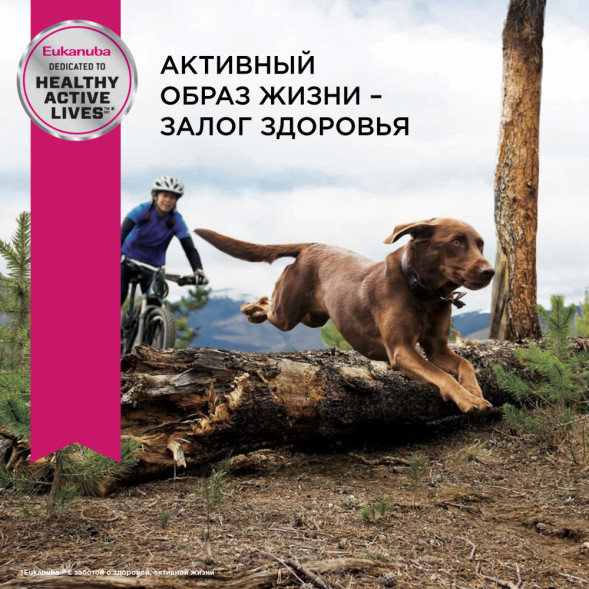 Сухой корм Eukanuba Mature &amp;amp; Senior для пожилых собак крупных пород старше 6 лет с курицей - 4 кг