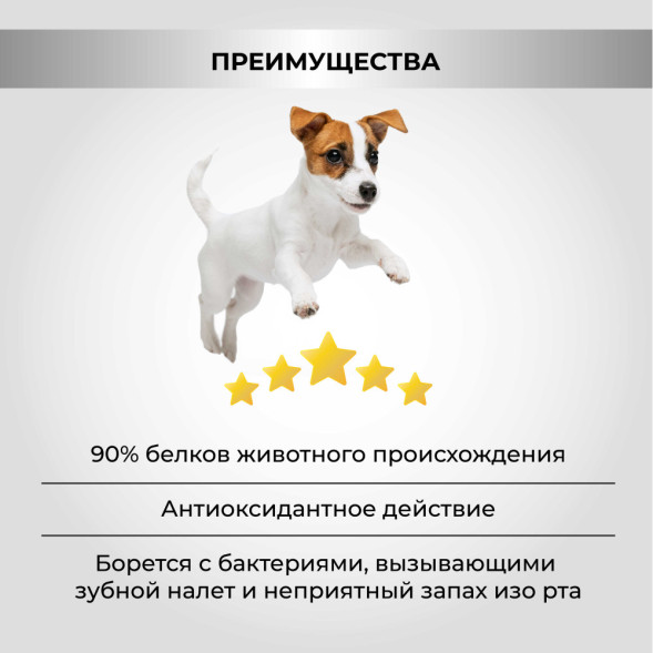 Necon Natural Wellness Adult Mini Salmon &amp;amp; Rice сухой корм для взрослых собак мелких пород с лососем и рисом - 10 кг