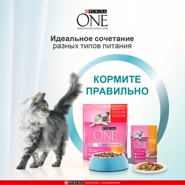 Purina ONE паучи для котят с курицей и морковью  - 75 г х 26 шт