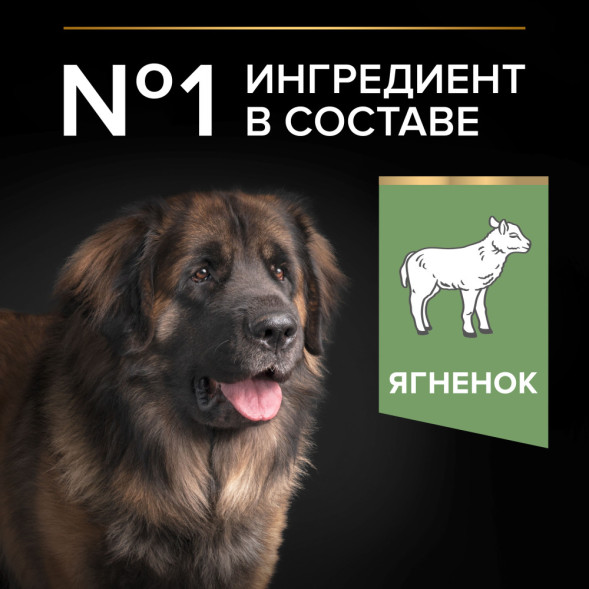 Pro Plan Adult Large Robust сухой корм для взрослых собак крупных пород с мощным телосложением с ягненком - 14 кг