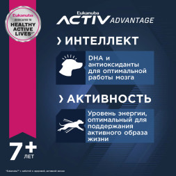 Сухой корм Eukanuba Mature &amp;amp; Senior для пожилых собак крупных пород старше 6 лет с курицей - 15 кг