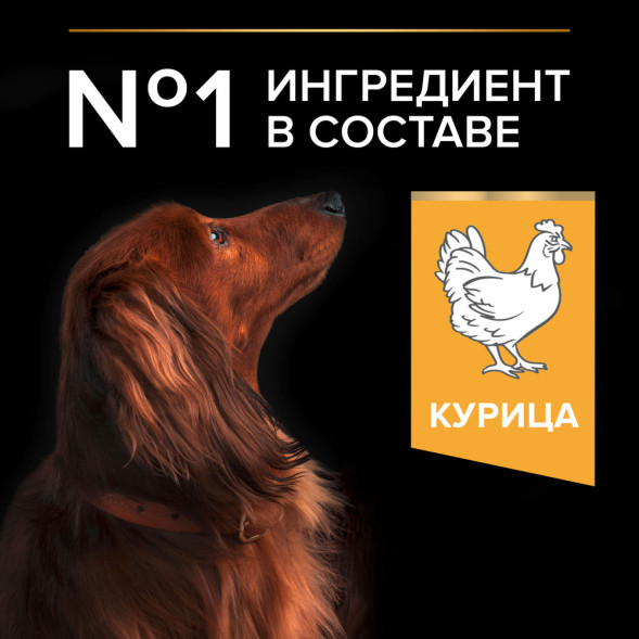 Purina Pro Plan Small &amp;amp; Mini сухой корм для взрослых собак миниатюрных и мелких пород с курицей и рисом - 700 г
