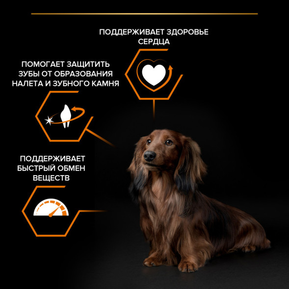 Purina Pro Plan Small &amp;amp; Mini сухой корм для взрослых собак миниатюрных и мелких пород с курицей и рисом - 700 г