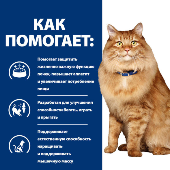 Hills Prescription Diet k/d + Mobility сухой диетический корм для кошек при заболеваниях почек и для поддержания здоровья суставов, с курицей - 1,5 кг