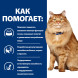 Hills Prescription Diet k/d + Mobility сухой диетический корм для кошек при заболеваниях почек и для поддержания здоровья суставов, с курицей - 1,5 кг