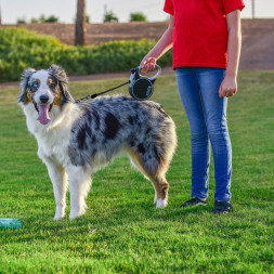 KONG рулетка Terrain XS (до 12 кг) лента 3 метра серый