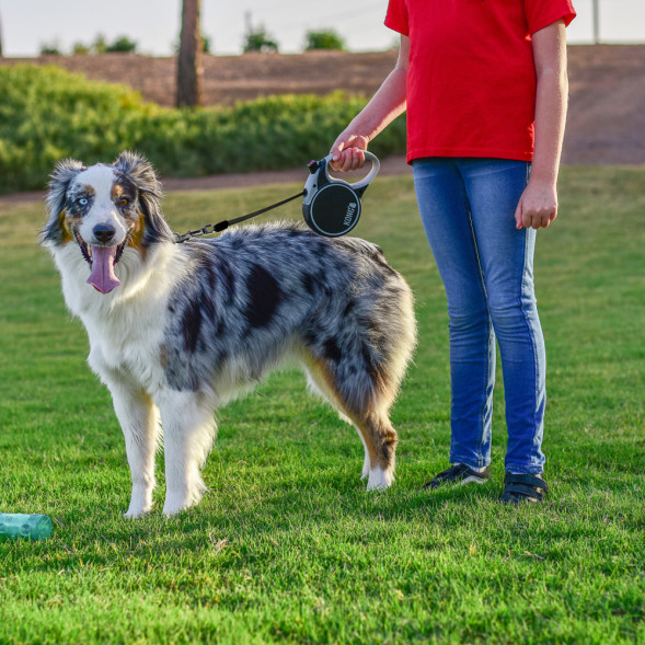 KONG рулетка Terrain XS (до 12 кг) лента 3 метра серый