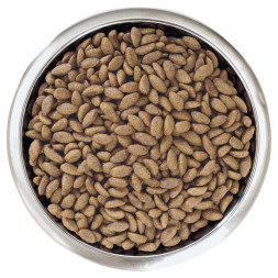 Pro Plan Opti Derma Medium сухой корм для взрослых собак средних пород при чувствительной коже с лососем - 3 кг