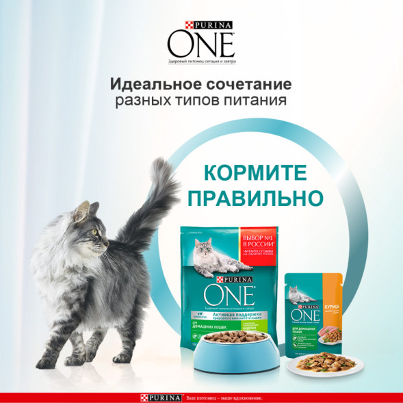 Purina ONE паучи для кошек при домашнем образе жизни с курицей и морковью  - 75 г х 26 шт