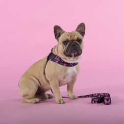 United Pets Complete me Identity шлейка для собак, 2,5 x 40-54 см, черная с розовым