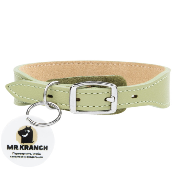 Mr.Kranch ошейник для собак, из натуральной кожи с QR-адресником, 22-26 см, нежно-зеленый