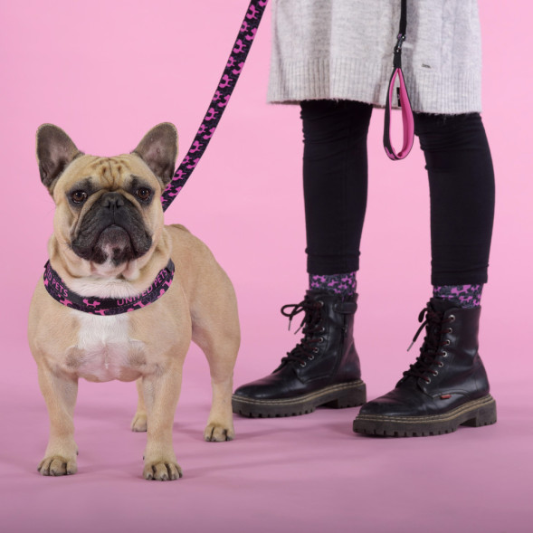 United Pets Complete me Identity шлейка для собак, 1,5 x 34-42 см, черная с розовым