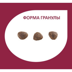 Granplus Gourmet Dog сухой корм для взрослых собак мелких пород, с лососем и цыпленком - 10,1 кг