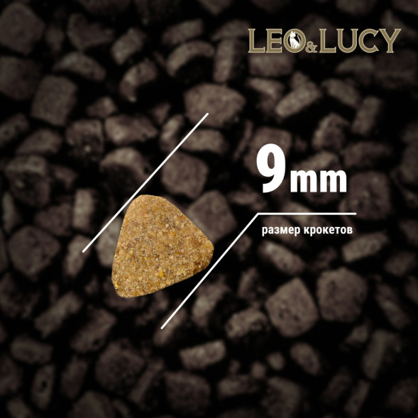 LEO&amp;amp;LUCY сухой холистик корм для взрослых и пожилых стерилизованных кошек с индейкой и ягодами - 5 кг