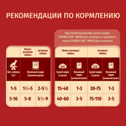 Purina ONE Мини набор паучей для активных взрослых собак мелких пород с говядиной, картофелем и морковью в подливе; с уткой, пастой и зеленой фасолью в подливе - 85 г х 10 шт