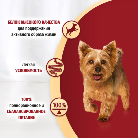 Purina ONE Мини набор паучей для активных взрослых собак мелких пород с говядиной, картофелем и морковью в подливе; с уткой, пастой и зеленой фасолью в подливе - 85 г х 10 шт
