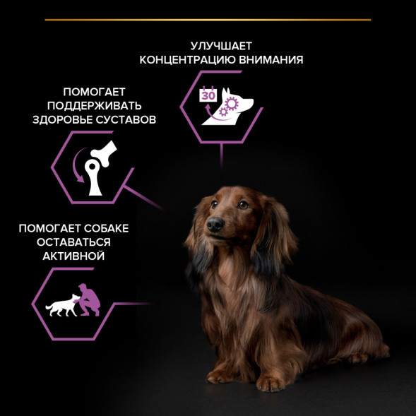 Pro Plan Small &amp;amp; Mini Adult 9+ сухой корм для пожилых собак мелких и карликовых пород старше 9 лет с курицей - 700 г