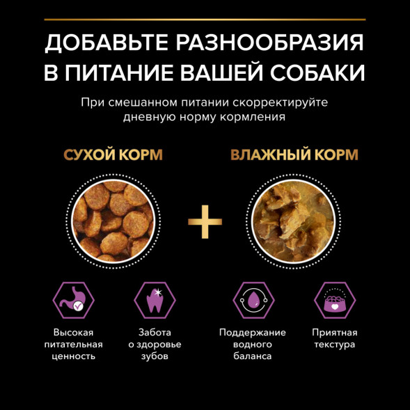 Pro Plan Small &amp;amp; Mini Adult 9+ сухой корм для пожилых собак мелких и карликовых пород старше 9 лет с курицей - 700 г