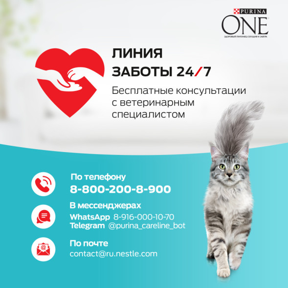 Purina ONE сухой корм для кошек при домашнем образе жизни с индейкой и цельными злаками - 1,5 кг