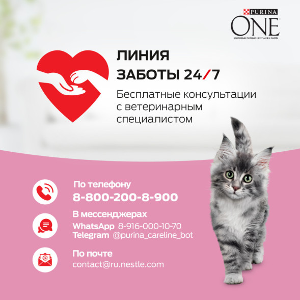 Purina One сухой корм для котят с курицей и цельными злаками - 750 г