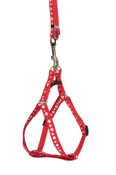 Camon шлейка с поводком для собак Hearts (красный), 1x120 см