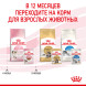 Royal Canin Kitten паучи для котят до 12 месяцев кусочки в соусе - 85 г х 24 шт