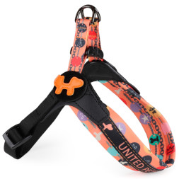 United Pets Complete me Forever шлейка для собак, 1,5 x 34-42 см, оранжевая с рисунком
