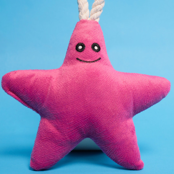 Mr.Kranch игрушка для собак мелких и средних пород Звездочка с канатом и пищалкой, 26х16х5 см, нежно-розовая