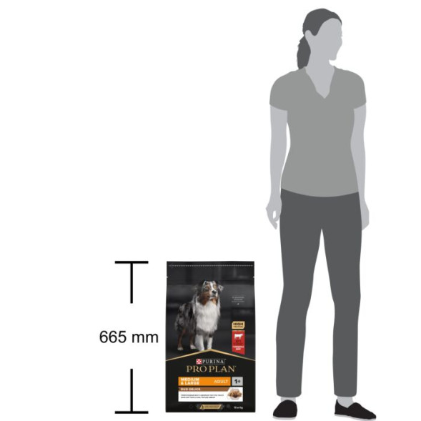 Сухой корм PRO PLAN® DUO DELICE для взрослых собак средних и крупных пород, с высоким содержанием говядины 10 кг