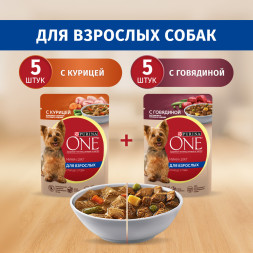 Purina ONE Мини набор паучей для взрослых собак мелких пород, с курицей, морковью и зеленой фасолью в подливе; с говядиной, картофелем и горохом в подливе - 85 г х 10 шт