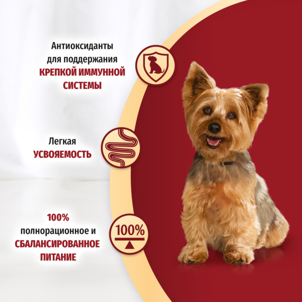 Purina ONE Мини набор паучей для взрослых собак мелких пород, с курицей, морковью и зеленой фасолью в подливе; с говядиной, картофелем и горохом в подливе - 85 г х 10 шт