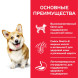 Hills Science Plan сухой корм для собак мелких пород с курицей - 3 кг