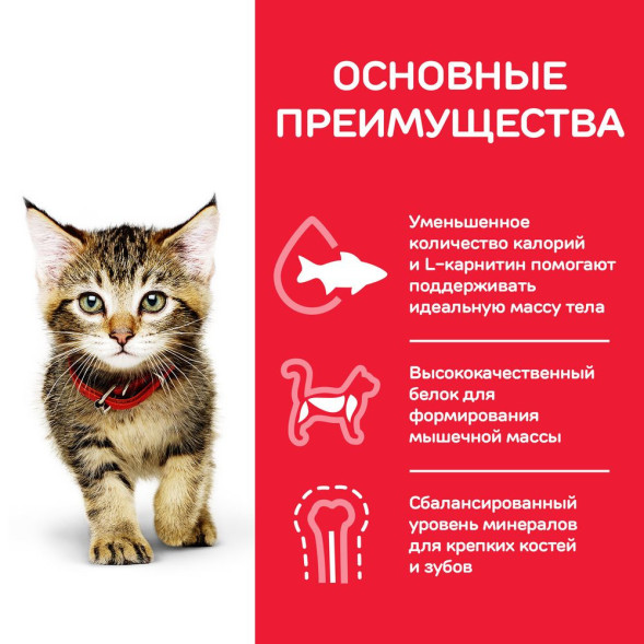 Влажный корм Hills Science Plan для котят для здорового роста и развития, пауч с океанической рыбой в соусе, 85 г х 12 шт