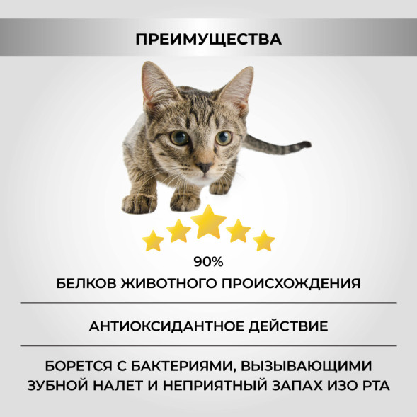 Necon Natural Wellness Sterilized White Fish &amp;amp; Rice сухой корм для взрослых стерилизованных кошек с белой рыбой и рисом - 10 кг