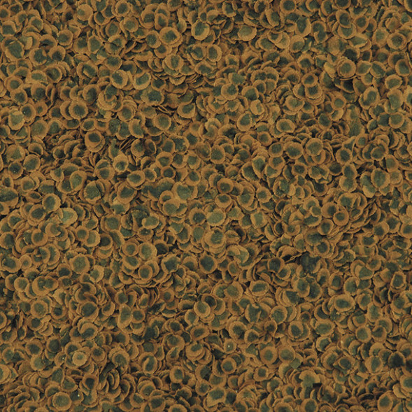 TetraPro Algae Multi-Crisps растительный корм для всех видов рыб в чипсах 500 мл