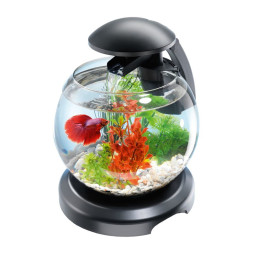 Tetra Cascade Globe комплекс аквариумный черный - 6,8 л