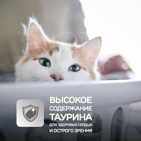 Влажный корм Hills Science Plan для котят для здорового роста и развития, пауч с курицей в соусе - 85 г x 12 шт